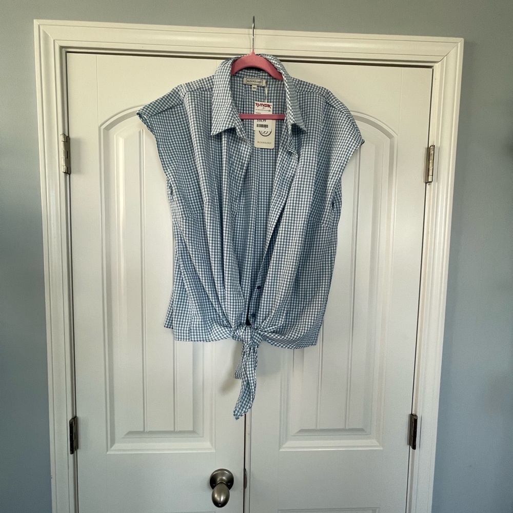 🆕Blousology Blue Gingham Shirt 3x